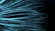© ADDICTIVE STOCK - 3D render of dynamic abstract light strands on dark background