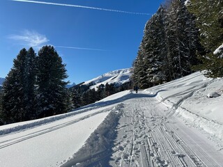 Excellently arranged and cleaned winter trails for walking, hiking, sports and recreation in the area of the tourist resort of Davos in the Swiss Alps - Canton of Grisons, Switzerland (Schweiz)