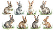 © yanto - A collection of watercolor rabbit Illustration