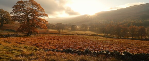 Poster - Autumnal sunrise over a tranquil valley, showcasing a majestic tree and golden foliage.