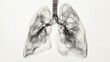 © StarzDream - Dramatic Respiratory Issues on White Background