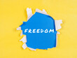 © daniiD - FREEDOM inscription on colored paper background