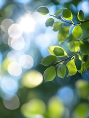 Blurred bokeh background of fresh green spring, summer foliage of tree leaves with blue sky and sun flare