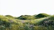 © Johannes - Green hills of flowers and flora landscape cut out PNG isolated transparent overlay