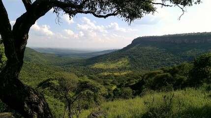 Poster - Panoramic view of a lush green valley and plateau, seen from under a tree branch.