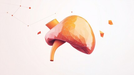 Poster - Low-poly 3D model of a human liver, orange and red gradient, against white background with connecting lines.