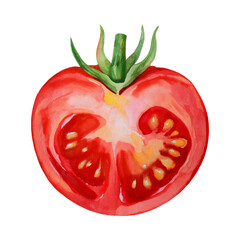 Wall Mural - Watercolor illustration of a red tomato, beautifully rendered and isolated against a clean white background 