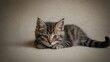 © jesus - Adorable gatito de ojos grandes y expresivos tumbado en una superficie de color neutro, capturando la esencia de la inocencia felina
