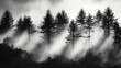 © bao - Misty coniferous forest with fog and dramatic lighting in a serene winter landscape
