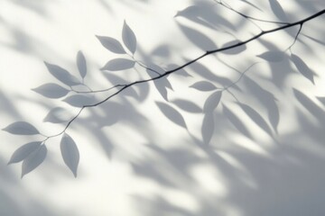 Aufkleber - Delicate Shadows of Tree Leaves on White Wall in Soft Light