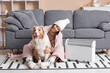 © Pixel-Shot - Young woman in winter clothes with blanket and Australian Shepherd dog sitting on floor near heater at home