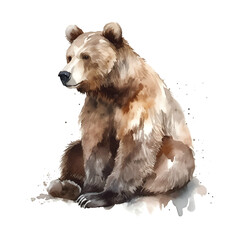 Wall Mural - Watercolor vector illustration of a majestic brown bear