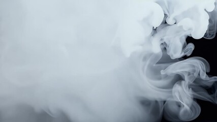 Wall Mural - Billowing white smoke gently drifts dark studio background creating versatile effect texture layers visual effects high quality 4K footage