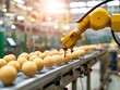 © taelefoto - Automated Robotic Arm Handling Objects on Production Line in Modern Industrial Facility