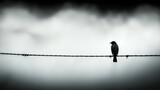 A solitary bird perched on a barbed wire against a cloudy sky.