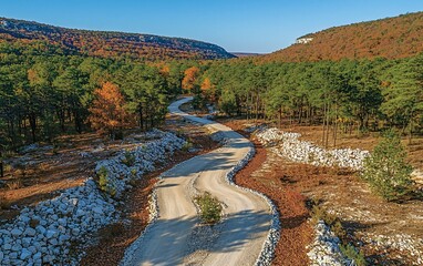 Sticker - Winding dirt road through autumnal forest.