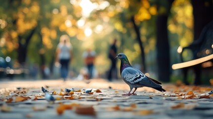 Peaceful Urban Park Scene with Pigeon Among Fallen Leaves and Blurred People Walking in Background