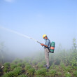 © Stacey - Man work fogging to eliminate mosquito for preventing spread dengue fever