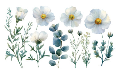 Wall Mural - A collection of delicate watercolor flowers and foliage