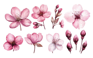 Wall Mural - A collection of pink flowers and buds