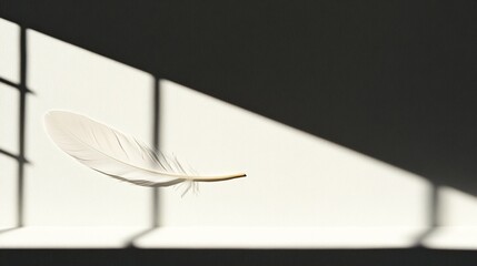 Poster - Single white feather in sunlit room.