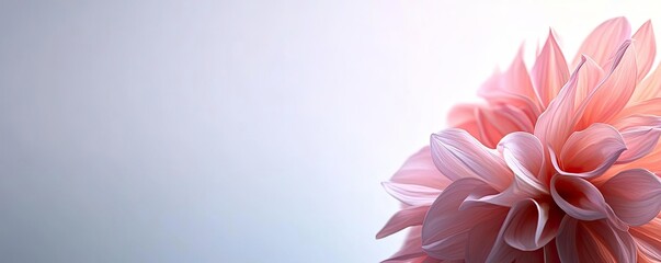 Poster - Soft abstract background idea. A delicate pink flower with soft petals against a light background.