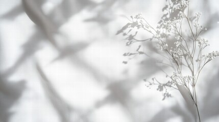 Poster - Elegant white sheet of paper with delicate shadows and floral accents creating a serene atmosphere in soft natural light. Generative AI