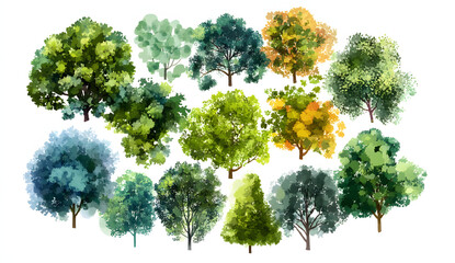 Wall Mural - vector isolated hand drawn watercolor tree top view on white background for landscape architecture p