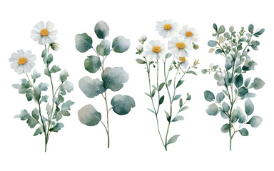 Wall Mural - A collection of watercolor floral illustrations 