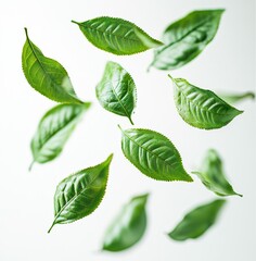 A few green leaves floating in the air