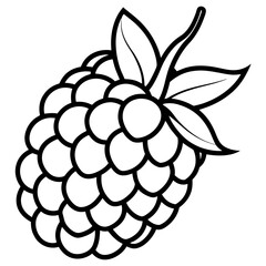 Blackberry line art art vector