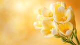 Close-up of a bouquet of pale yellow freesia flowers against a blurred golden background.