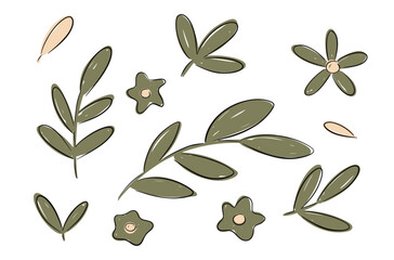 Wall Mural - Hand drawn set botanical elements leaves, twig branch and flowers in a minimalist design