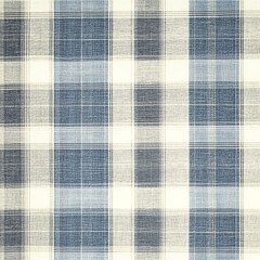 Blue and white plaid fabric texture, ideal for various design applications.