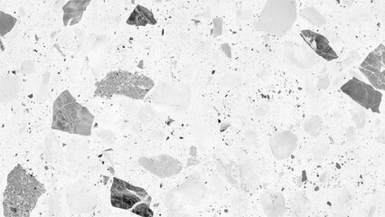 Poster - Polished terrazzo marble floor texture in black and white. Modern white and black marble terrazzo texture with abstract patterns. Exquisite white and black marble floor, a stunning display of natural 