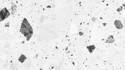 Poster - Polished terrazzo marble floor texture in black and white. Modern white and black marble terrazzo texture with abstract patterns. Exquisite white and black marble floor, a stunning display of natural 