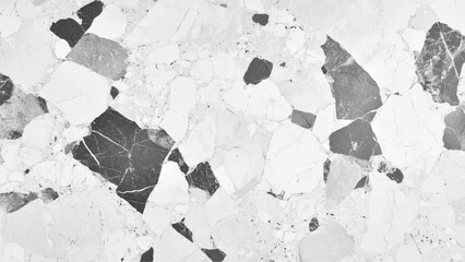 Poster - Polished terrazzo marble floor texture in black and white. Modern white and black marble terrazzo texture with abstract patterns. Exquisite white and black marble floor, a stunning display of natural 