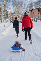 Couple walking for a stroll in colder winter time with small child in sled for a nice walk and spending time together