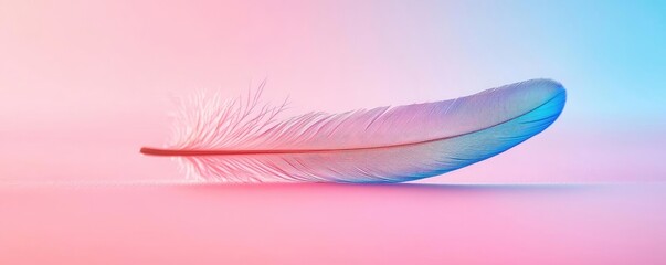 Wall Mural - Feather abstract background idea. A delicate feather resting on a colorful background, showcasing beauty and elegance.