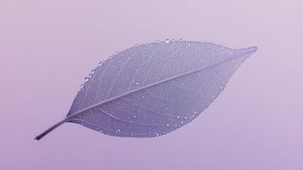 Aufkleber - Single dew-covered leaf on purple background.