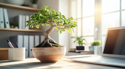Poster - Sunlit office desk with bonsai tree, laptop, and office supplies.