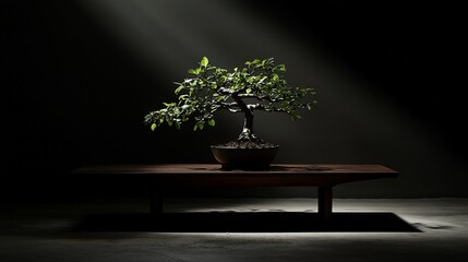 Poster - A bonsai tree sits on a low wooden table, dramatically lit from above.
