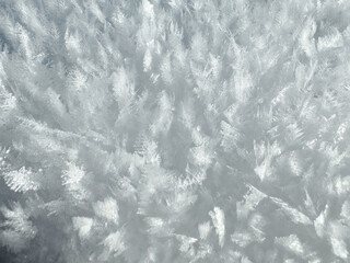 closeup of ice crystals with sharp details. frosty texture. winter concepts. snowflake texture. snow surface. snow pattern. nature pattern. abstract