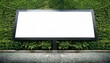 © IrenaBlechova - blank outdoor billboard on green leafy wall