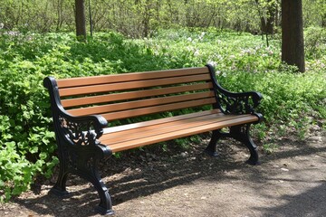 A peaceful wooden bench in a sunlit forest, surrounded by vibrant green foliage and blooming flowers, offering a tranquil escape.