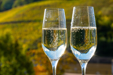 Tasting sparkling white wine, traditional champagne method making of cremant in caves on Moselle river valley in Luxembourg, glasses of wine and view on terraced vineyards