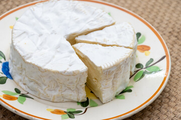 Wall Mural - French soft Camembert cheese, original Camembert de Normandie, close up with white mold