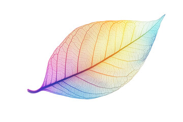 Aufkleber - Colorful translucent leaf isolated on white background for artistic and design purposes showcasing natural beauty and intricate details
