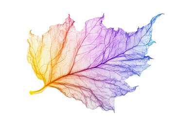 Aufkleber - Colorful translucent leaf isolated on white background for artistic and design purposes showcasing natural beauty and intricate details