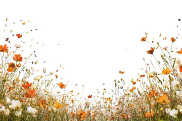 Wall Mural - Vibrant field of blooming flowers with delicate shades of pink and orange against a white background